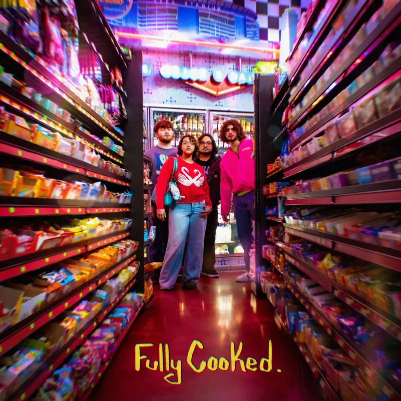 Fully Cooked by The Schwegs – cover art