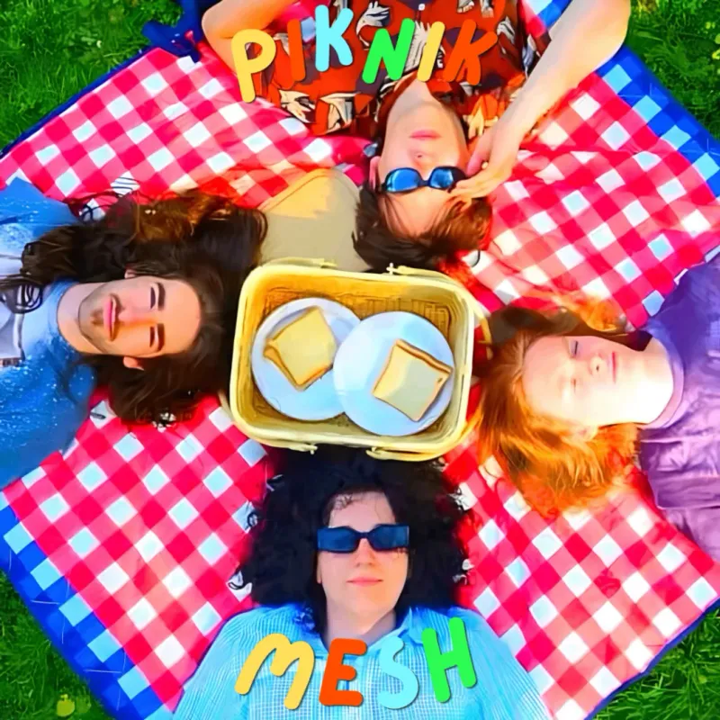 Mesh by PIKNIK – cover art