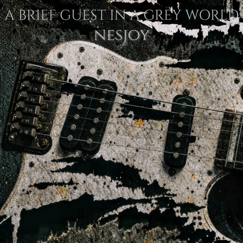 Initiate (A BRIEF GUEST IN A GREY WORLD) by nesjoy – cover art