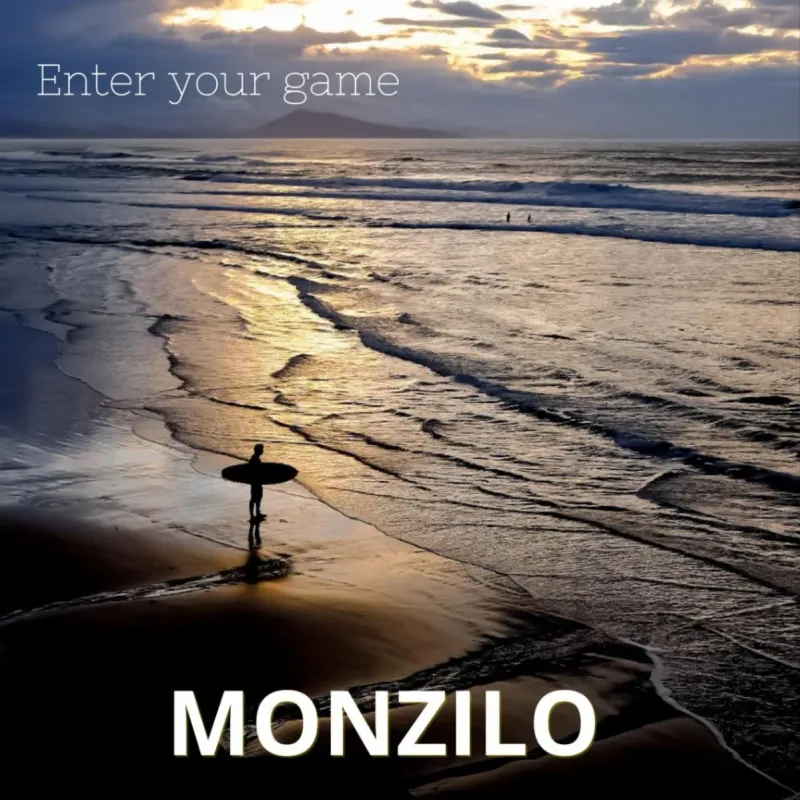 Enter Your Game by MONZILO – cover art